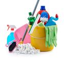 Picture for category Cleaning Accessories