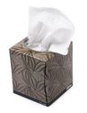 Picture for category Tissues
